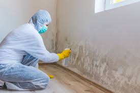 Best Mold Prevention Services in Boston Heights, OH