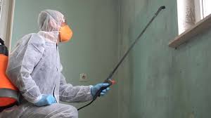  Boston Heights, OH Mold Removal Pros