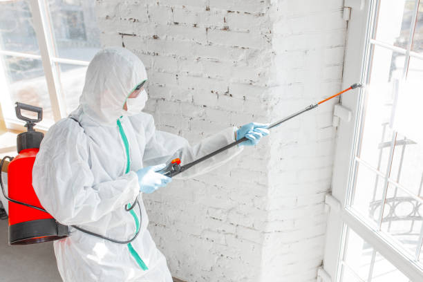 Best Residential Mold Inspection & Testing in Boston Heights, OH