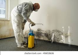 Trusted Boston Heights, OH Mold Removal Experts